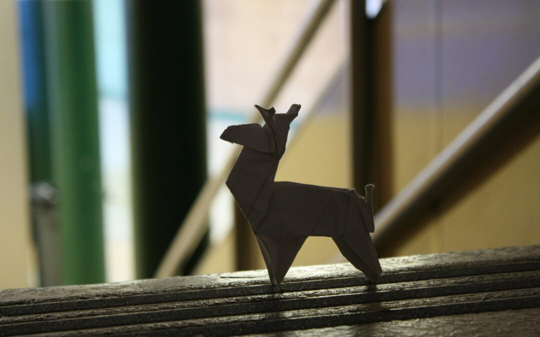 Introduction to Stop-Motion Animation hosted by Foróige