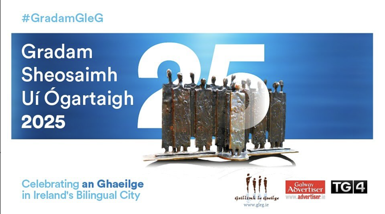 Gradam le Gaeilge - short list
