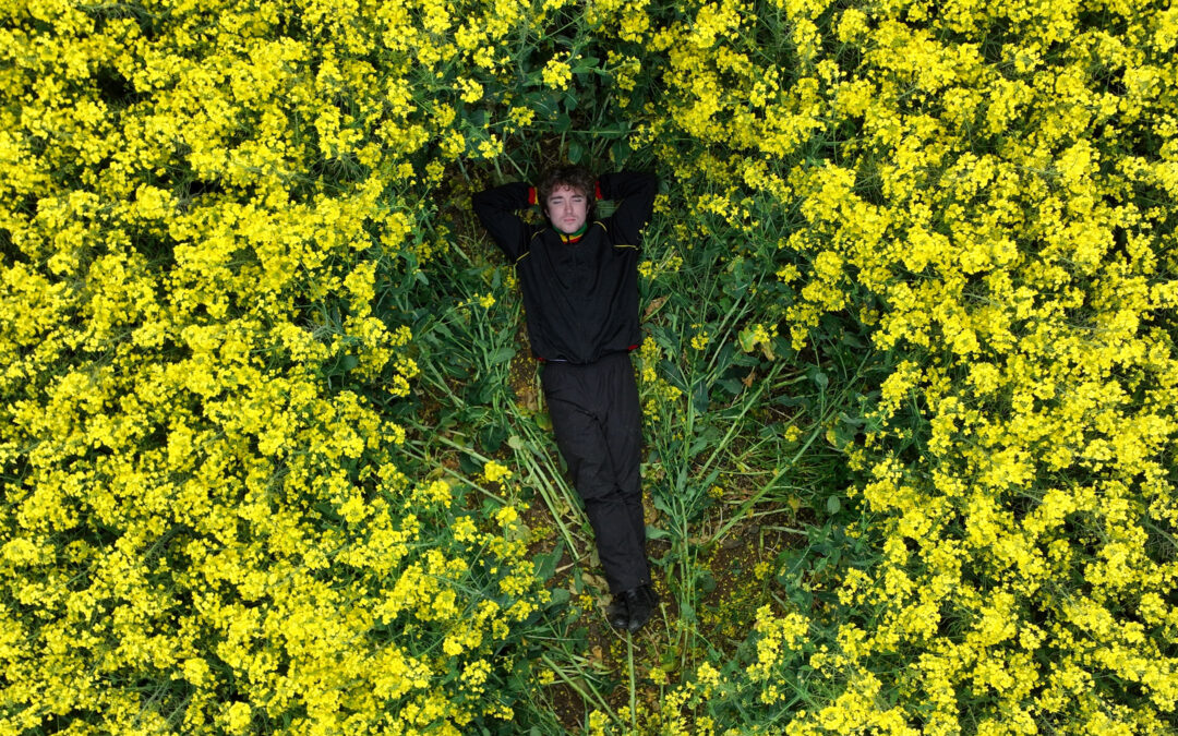 DAVID KEENAN – FOCLA AR CHANBHÁS