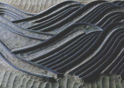 RIPPLES OF PHYSIS