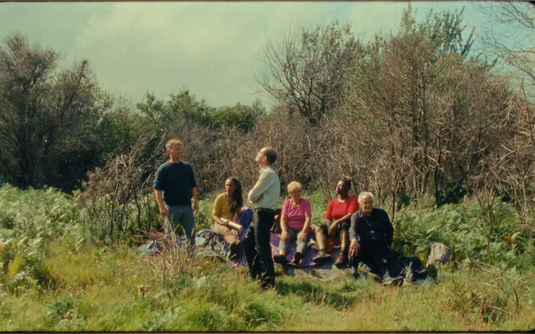 aemi Presents – Desire Lines